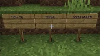 HOW to spawn SNOW GOLEM in MINECRAFT ❓
