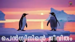 പെൻഗ്വിനിന്റെ ജീവിതം | Penguins: Masters of the Frozen World | AnTalk #penguin #antarctica #antalk 