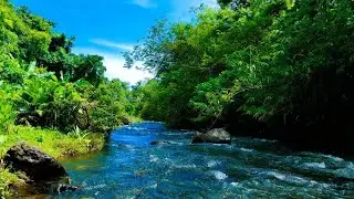 LIVE RIVER FLOW ASMR &ndash; CALMING NATURE SOUNDS FOR DEEP SLEEP, MEDITATION & FOCUS
