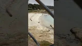 Cypress Lookout Point on 17 Mile Drive #pebblebeach #california #summer #travel #17miledrive #fyp