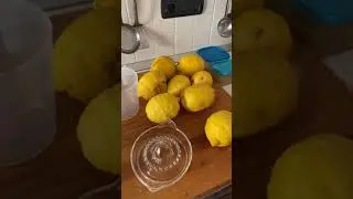 THINGS I LOVE ABOUT LIVING IN CALABRIA ITALY- THE LEMONS!!! #calabria #calabriadreaming #italy #life