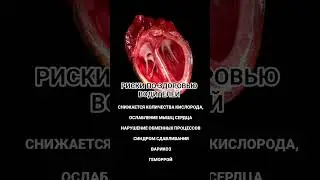 РИСКИ ПО ЗДОРОВЬЮ ВОДИТЕЛЕЙ, НИПОДИНАМИЯ