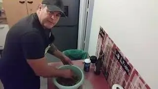 Sarmalele cu pasat si ciuperci sunt OK