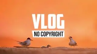 Alex Keeper - Can You Stay (Vlog No Copyright Music)
