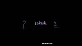 live trade crude oil 8-5-2025