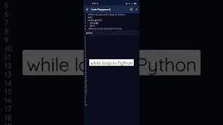 How to use while loop in Python 29 