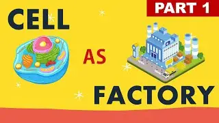 Аналог клетки как фабрики I Часть 1 I ПОЛНОЕ ВИДЕО