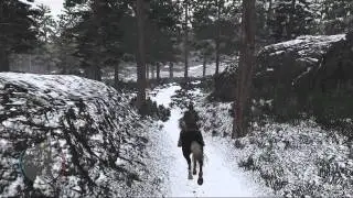 Red Dead Redemption: 