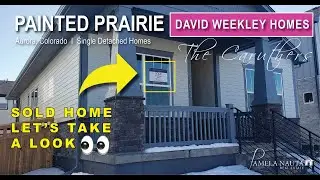 🎨 Aurora CO I Painted Prairie I David Weekley I Caruthers I 2-4 Bed I 2-3 Baths I 1,500 - 3,000 SF
