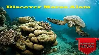 Discover #Marsa_Alam -  مرسي_علم#