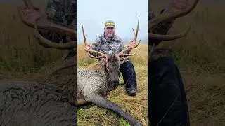 Elk Hunt 2025 &ndash; Thick Fog, Close Encounters | Witte City Outdoors