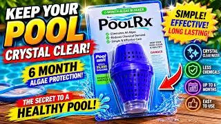 PoolRX 6 Month Pool Algaecide