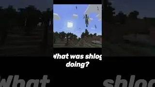 What was shlog doing?