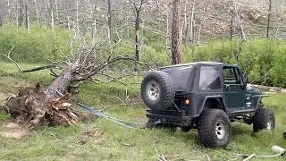 TDI Diesel TJ Jeep Wrangler Tree Pull