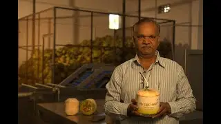 VD Enterprises