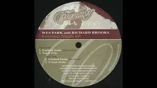 Wes Park and Richard Brooks  -  Excited Souls (original vocal)