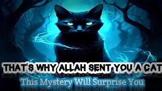 The Great MYSTERY About Why CATS Were Created || Cats in Islam: The Sunnah & Blessings