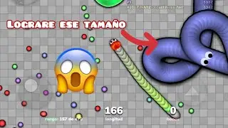 Podré quedar en los top #10 lugares de slither.io