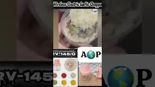 *Rs-160/-* Electric Mini Garlic Chopper, 250ml Wireless Portable Onion Chopper