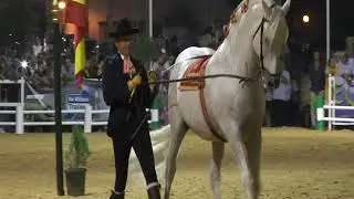ESPECTÁCULO ECUESTRE - FERIA DE VILLAMARTÍN (23/09/2018) BLQ. 3
