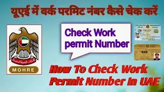 Check Work Permit Number In UAE | Labor Number | यूएई में वर्क परमिट नंबर कैसे चेक करें