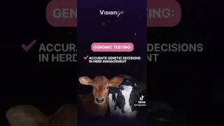 Build the best breeding strategy for your dairy herd! Genomic testing with Vision+&trade;️