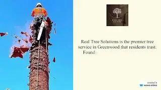 Tree Service Greenwood - Real Tree Solutions