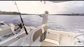 Introducing Sunbrella Horizon Marine Vinyl
