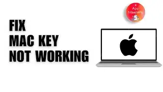 How to Fix Mac Key Not Working