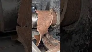 Amazing Traditional Oil Making Complete Process in India