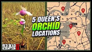 RDR2: Queen's Orchid Locations - FAST & EASY Guide (Duchesses & Other Animals Guide)