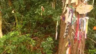 The Secret Commonwealth of Elves, Fauns + Faeries- Rev Robert Kirk's Doon Hill, Aberfoyle