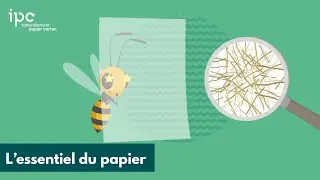 PAPIER 🐝 COMMENT le FABRIQUER ? D&eacute;couvrez l&rsquo;essentiel