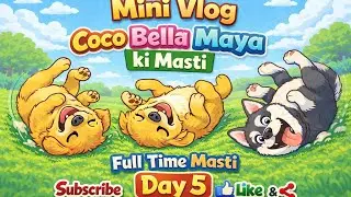 Full Time Fun with Coco Bella Maya 🐶💛 | Day 5 #youtube #viral #trending #funny 