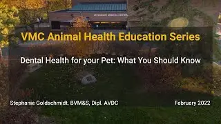 Dental Health for your Pet: What You Should Know by Dr. Stephanie Goldschmidt - VMC AHES