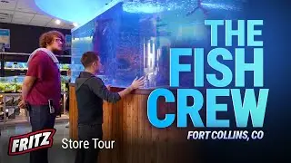 This Is How You Build a Fish Store!