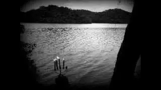 Invernal Noctambular