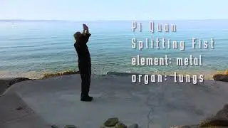 Xingyi splitting fist
