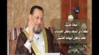 مدي صحة حديث الكلام في المسجد يأكل الحسنات كما تأكل النار الحطب د محمد الزغبي _ Dr Mohamed Elzoghbe
