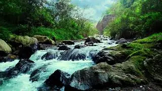 Deep River Flow Sound for Emotional Therapy, Stress Relief and Better Sleep
