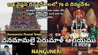 79 Divya desam/Vanamamalai Perumal temple(Thiruchireevaramangai/NANGUNERI/108Divyadesam/SreedharRaju