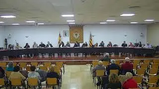 Ple Ordinari Gener 2025