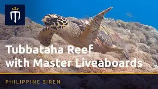 Tubbataha Reefs Natural Park with Philippine Siren