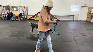 Fiona and Thomas -  MLIOCH (master champion) - SMALL ITEM (my choice)  - lipstick 