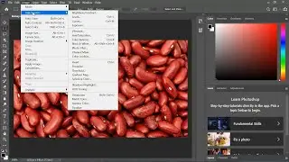 Photoshop Tutorial: Creating and Defining Patterns with Natural Objects