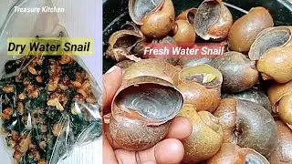 Ngolo | Fresh Water Snail / How To Clean, Dry & Preserve Water Snail For Home Use & Export | Seafood