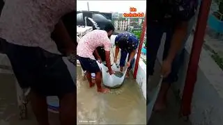 Sand clean with water!!! #technology #viralshort #youtubeshorts #shorts