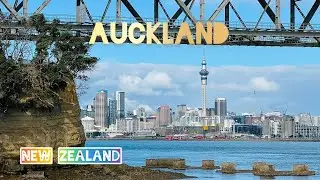 Back to family in Auckland from Sydney  after 2  years  covid lockdown