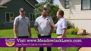 Beyond The Backyard - Meadowlark Lawn - Fall Prep