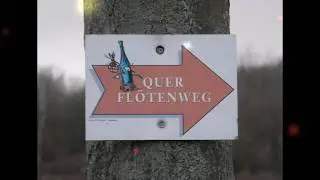 Sportfreunde Hallgarten 1984 e.V. - Impressionen aus der Region...!